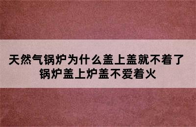 天然气锅炉为什么盖上盖就不着了 锅炉盖上炉盖不爱着火